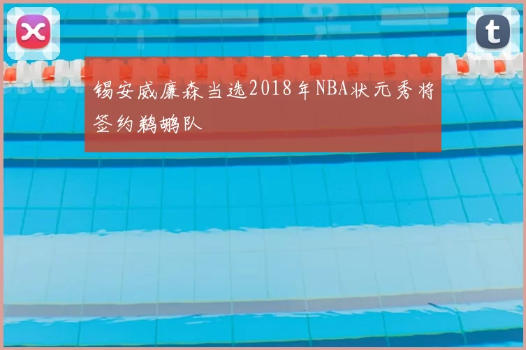 锡安威廉森当选2018年NBA状元秀将签约鹈鹕队